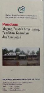 panduan magang apy