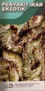 penyakit ikan eksotik apy